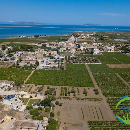 La Posidonia - Abele *